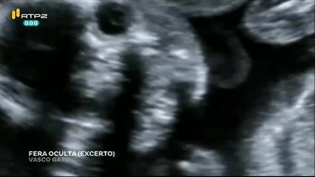 Imagem do Programa / Episiódio - Literatura Agora