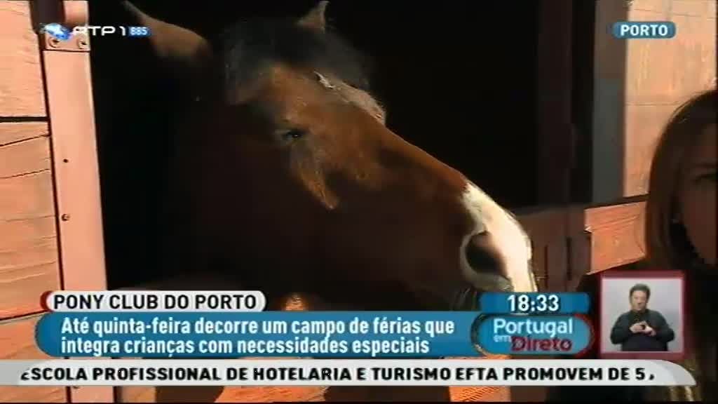 Imagem do Programa / Episiódio - Portugal em Direto