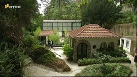 Imagem de Desporto 2