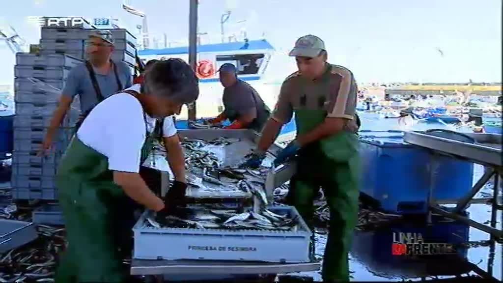 Imagem do Programa / Episiódio - Linha da Frente - Triste Faina