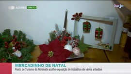 Imagem de Apresenta��o | Vera Santos