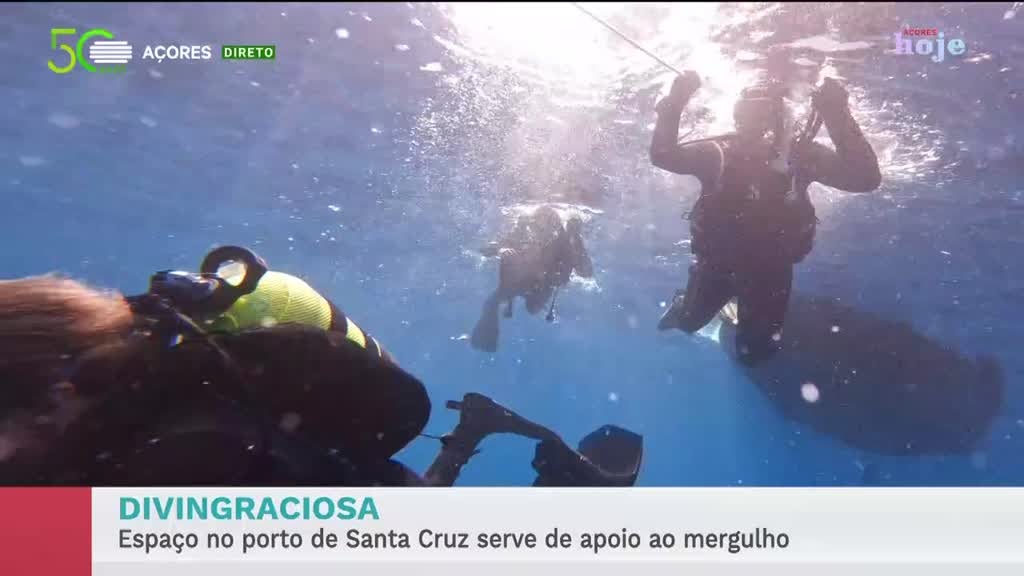 Imagem de Açores Hoje - Apresentação | Vera Santos