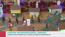 Imagem de Apresenta��o | Solange Vieira