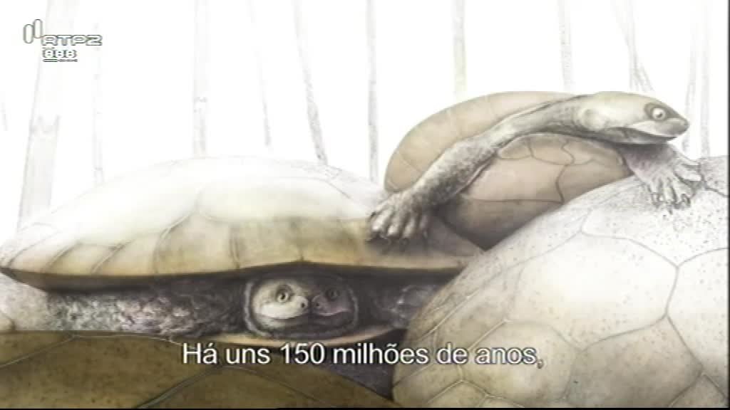 Imagem de Os Nossos Dinossauros