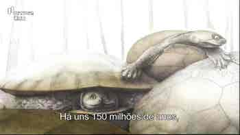 Os Nossos Dinossauros...