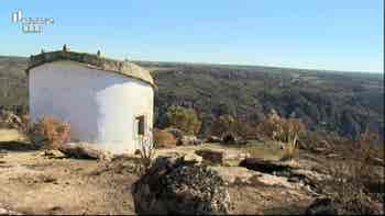 H� Vida Nova nos Pombais...