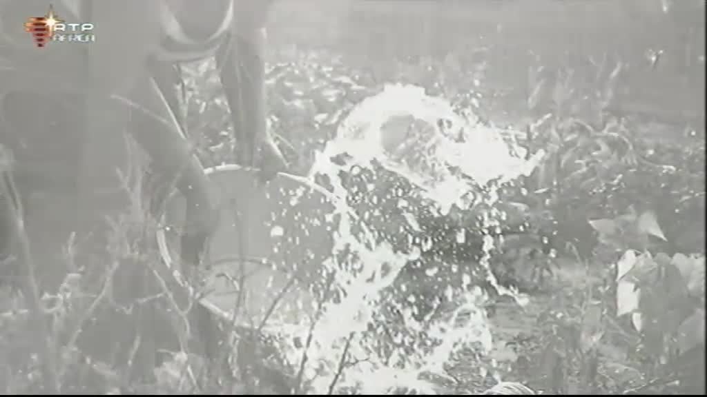 Imagem do Programa / Episiódio - Rumos