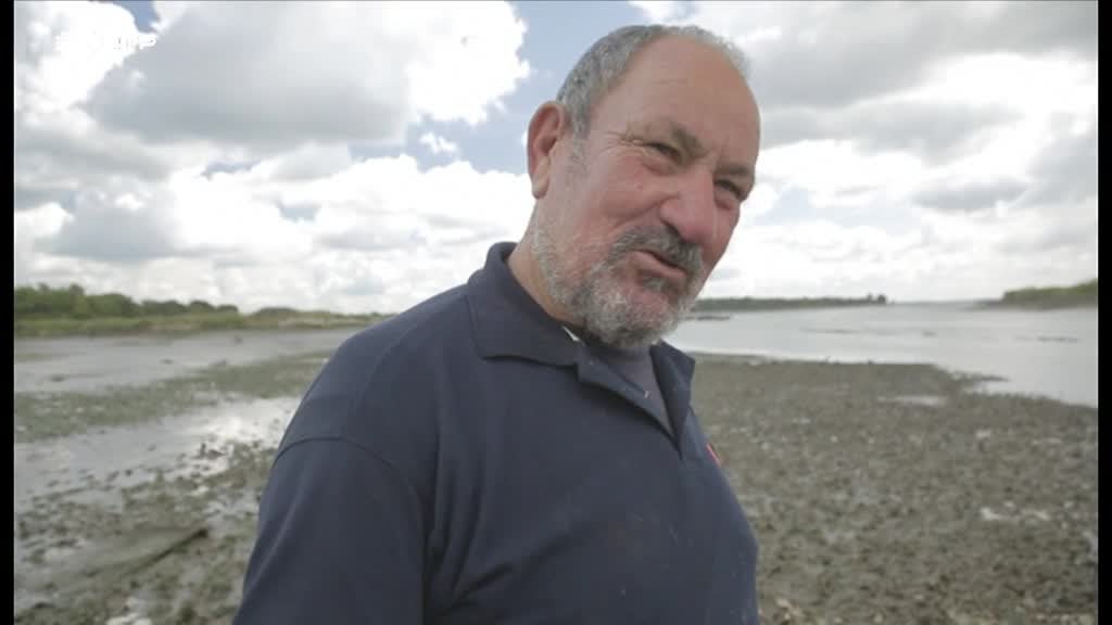 Imagem de Histórias de Mar - Concha