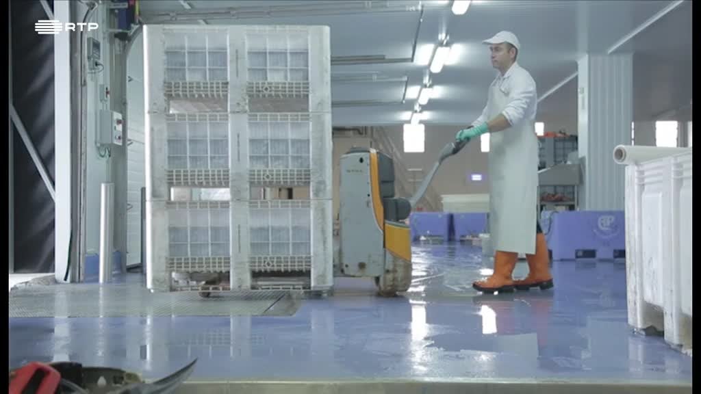 Imagem de Histórias de Mar - Anzol