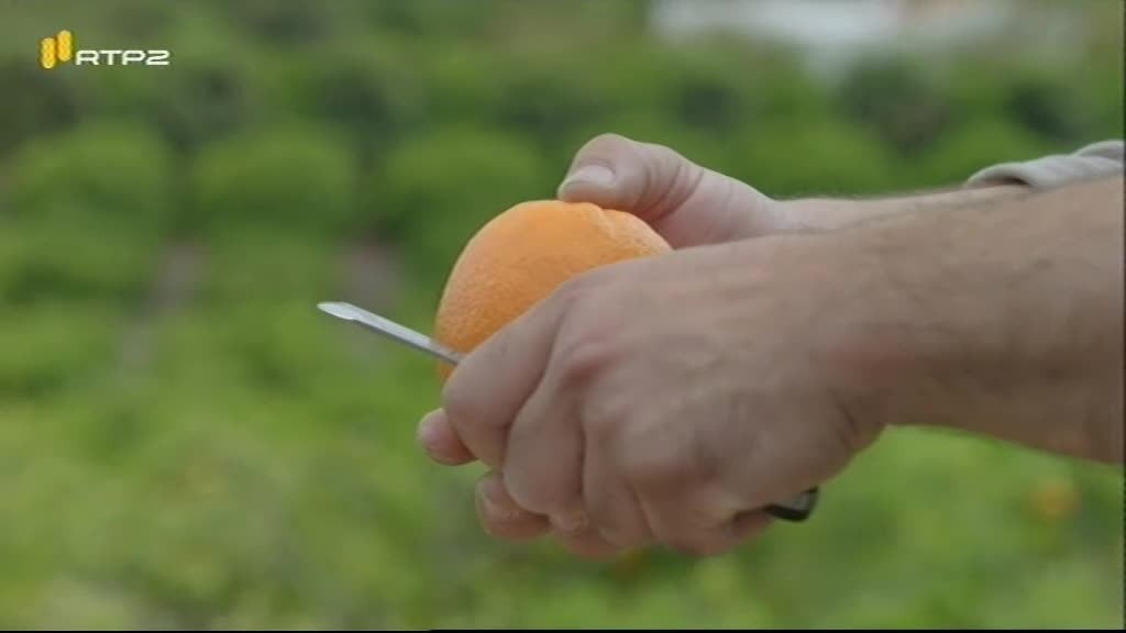 Imagem do Programa / Episiódio - Ingrediente Secreto - Laranja