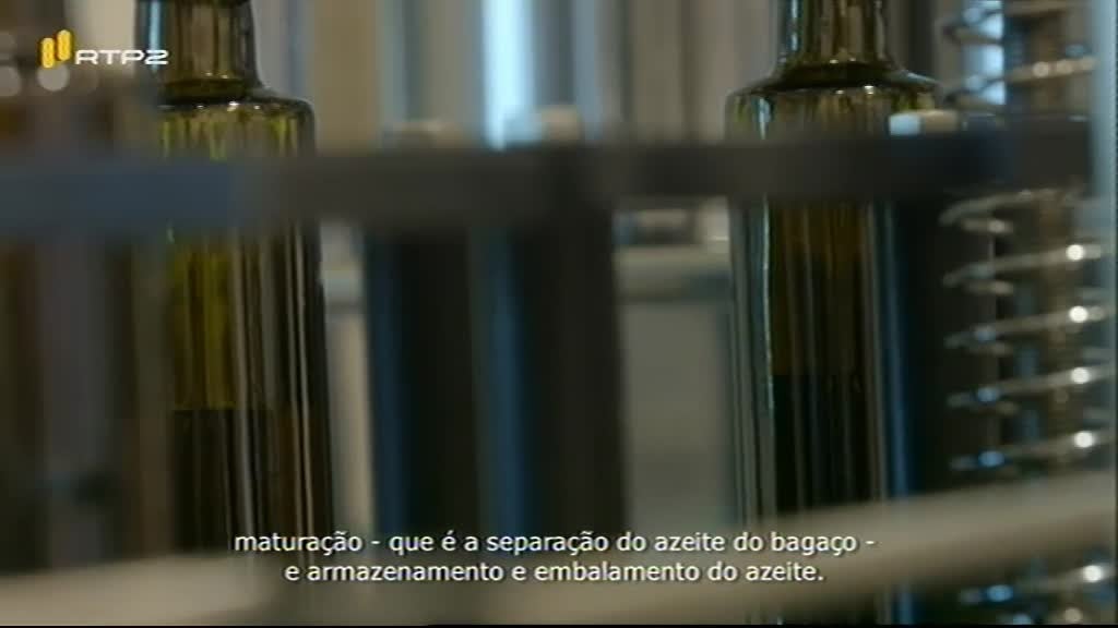 Imagem do Programa / Episiódio - Ingrediente Secreto - Azeite