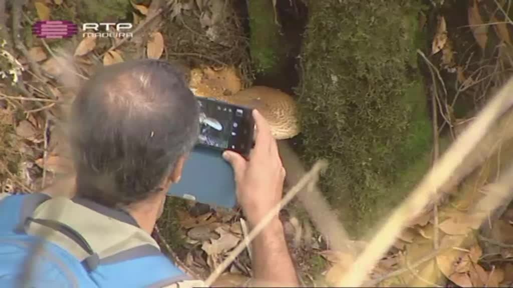 Imagem do Programa / Episiódio - Refúgios de Verão