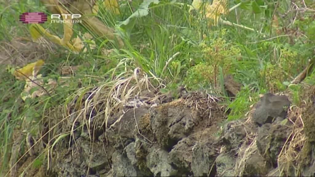 Imagem do Programa / Episiódio - Refúgios de Verão