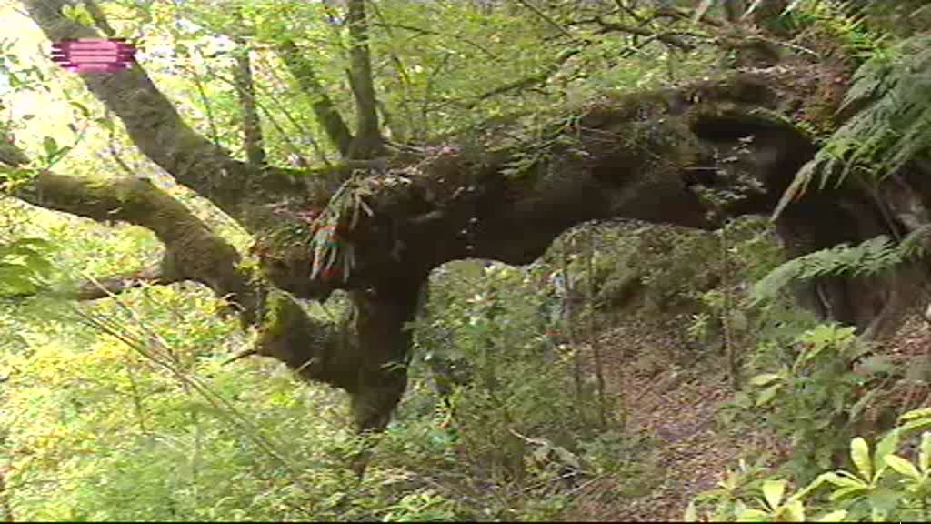 Imagem do Programa / Episiódio - Refúgios de Verão