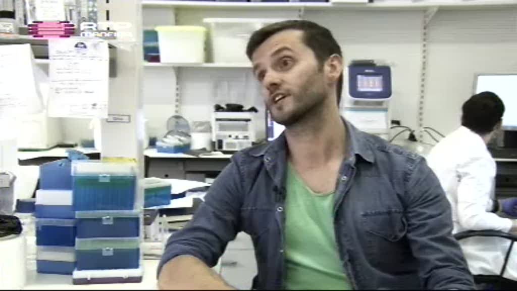 Imagem do Programa / Episiódio - Madeira à Vista