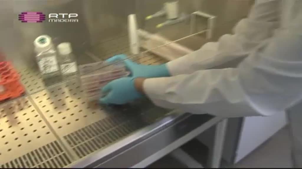 Imagem do Programa / Episiódio - Madeira à Vista