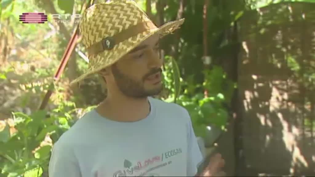 Imagem do Programa / Episiódio - Desvio Padrão