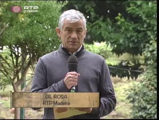 Imagem do Programa / Episiódio - Dança Com História