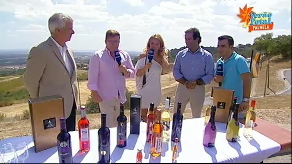 Imagem do Programa / Episiódio - Verão Total 2015