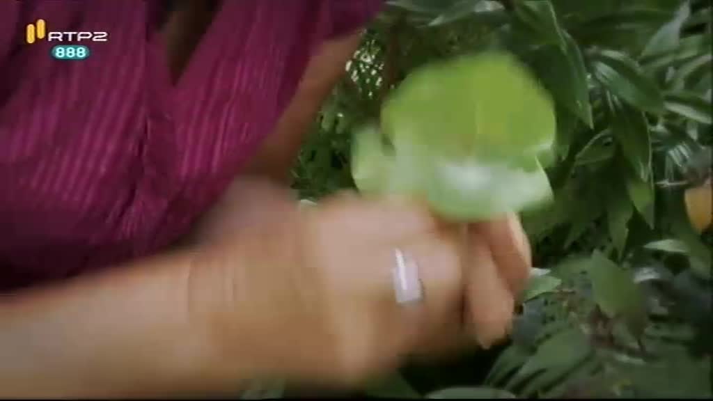 Imagem do Programa / Episiódio - Mundo dos Sentidos - Saborear