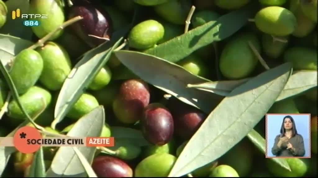 Imagem do Programa / Episiódio - Sociedade Civil - Azeite