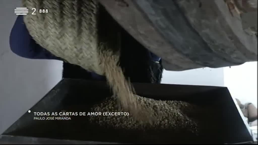 Imagem do Programa / Episiódio - Literatura Aqui - Esta semana, estamos de volta dos amores, do tempo e de um desafio gigante com ilustração