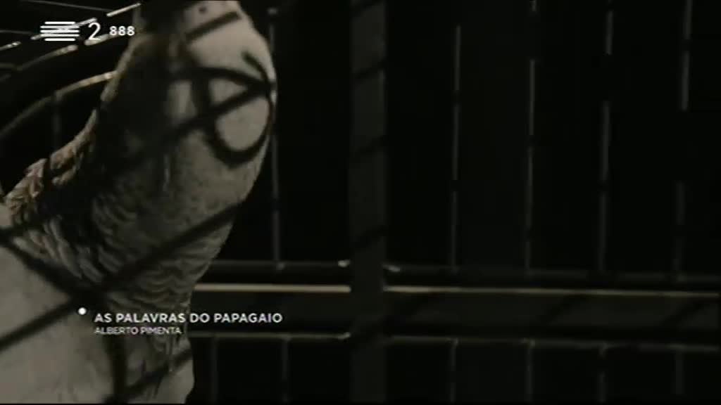 Imagem do Programa / Episiódio - Literatura Aqui - Esta semana, há artistas e poetas na Literatura Aqui