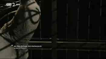 Esta semana, h� artistas e poetas na...