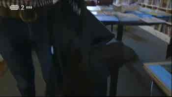 Esta semana o Brasil est� mais perto...