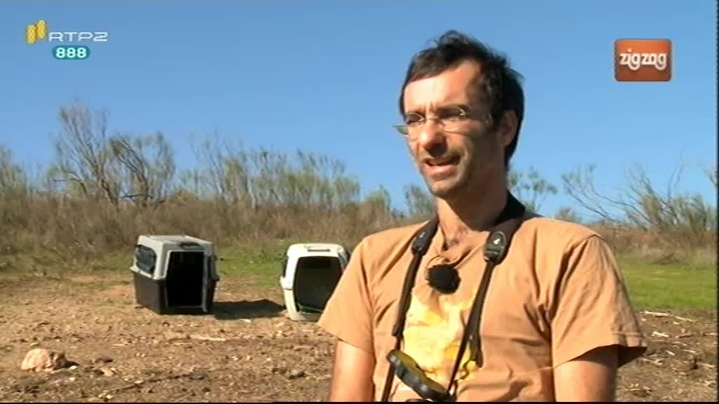 A guia-imperial-ibrica, o abutre-preto e a guia-pesqueira so os protagonistas deste programa