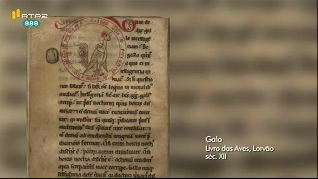 Imagem do Programa / Episiódio - Visita Guiada - Mosteiro do Lorvão