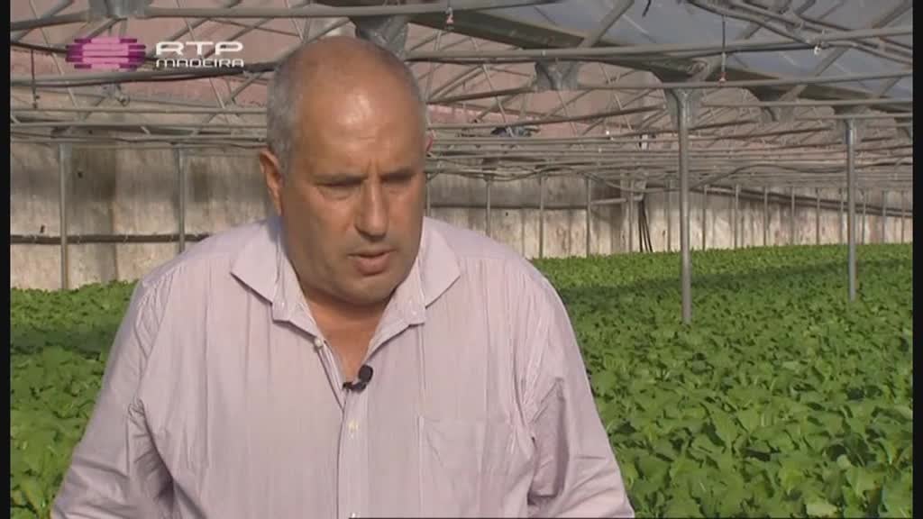 Imagem do Programa / Episiódio - Marca Madeira