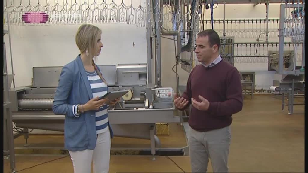 Imagem do Programa / Episiódio - Marca Madeira