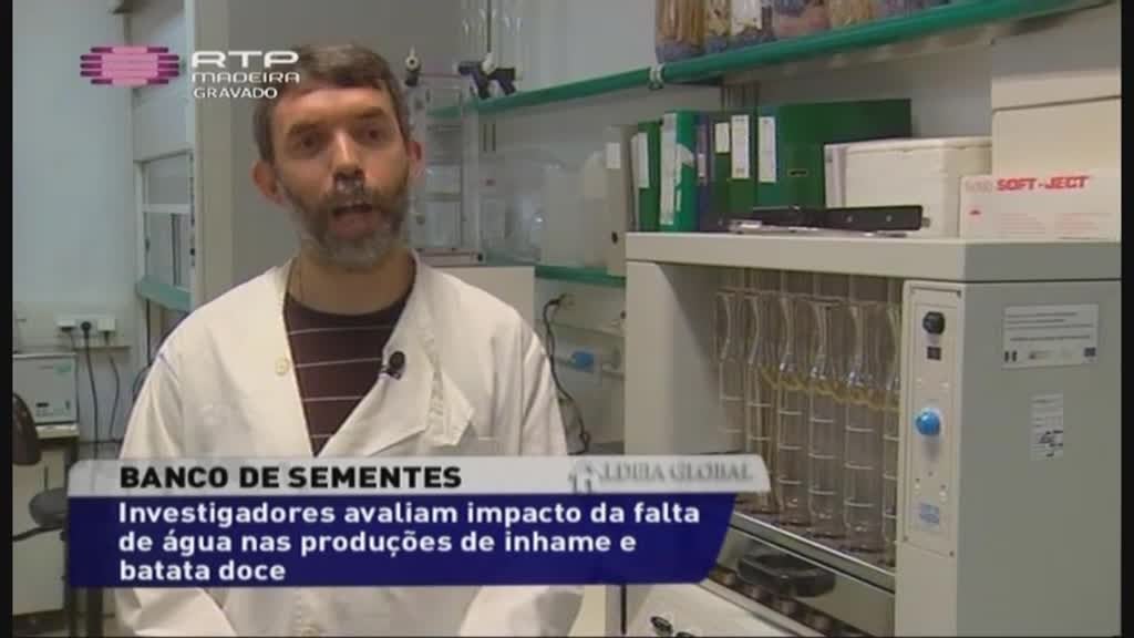 Imagem do Programa / Episiódio - Aldeia Global (Madeira)