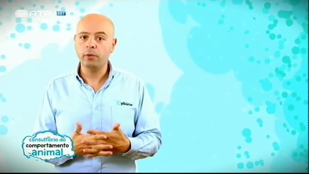 Imagem do Programa / Episiódio - Animais Anónimos