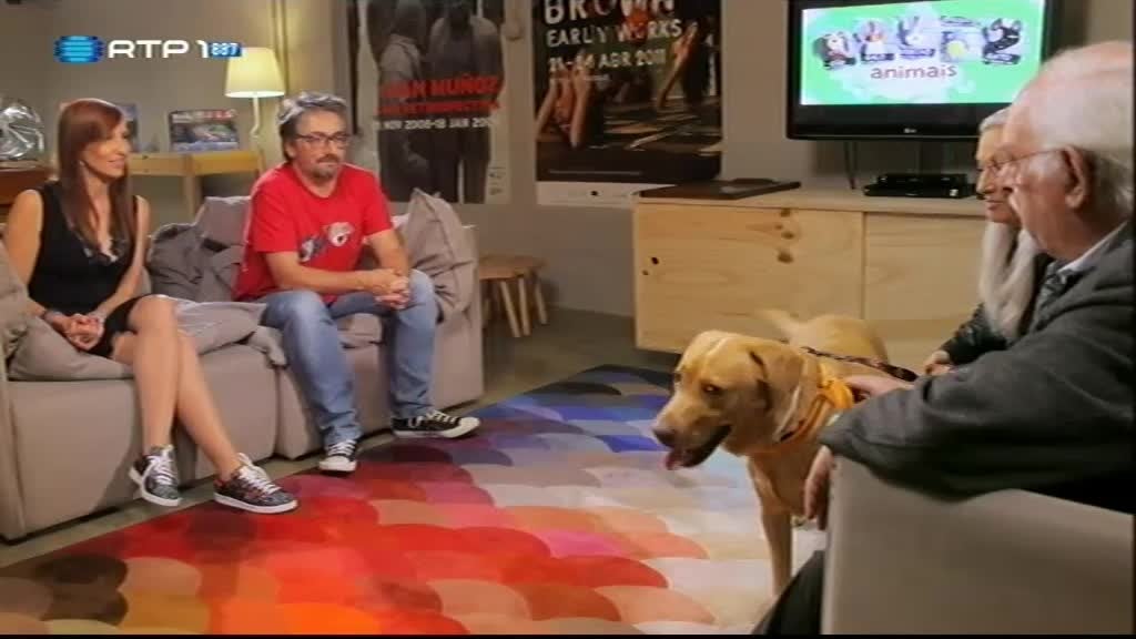 Imagem do Programa / Episiódio - Animais Anónimos