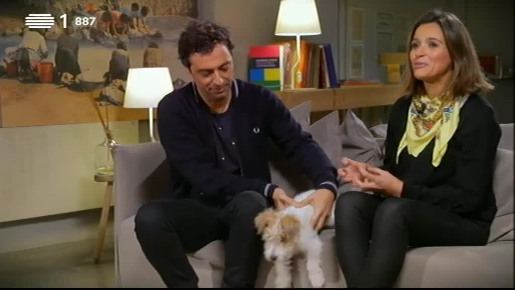 Imagem do Programa / Episiódio - Animais Anónimos