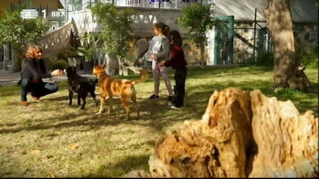 Imagem do Programa / Episiódio - Animais Anónimos