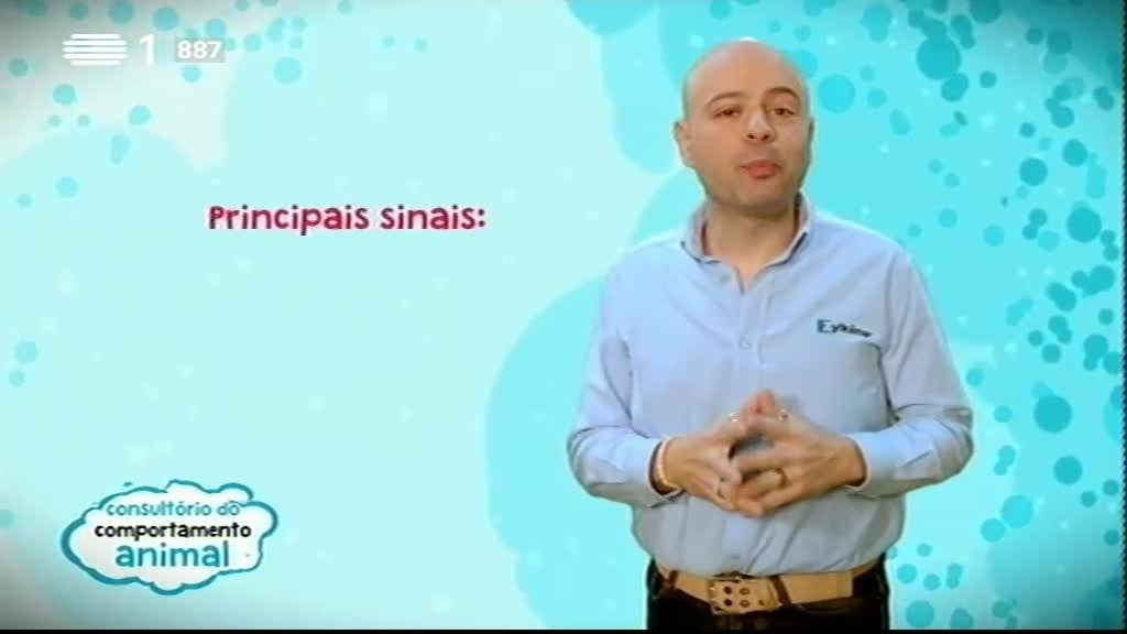 Imagem do Programa / Episiódio - Animais Anónimos