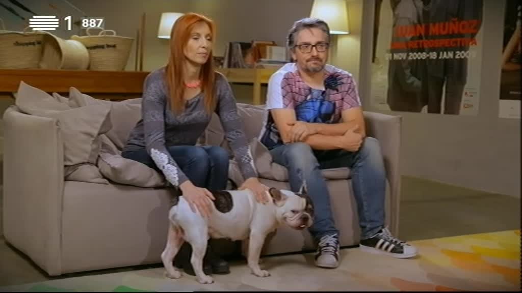 Imagem do Programa / Episiódio - Animais Anónimos