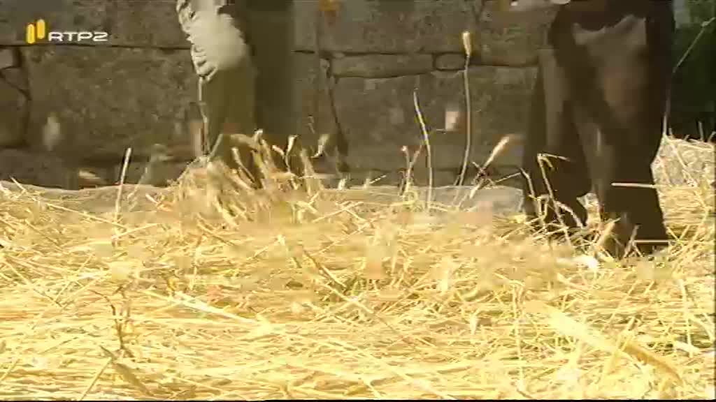 Imagem do Programa / Episiódio - Do Berço à Cova