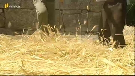 Imagem de Do Ber�o � Cova