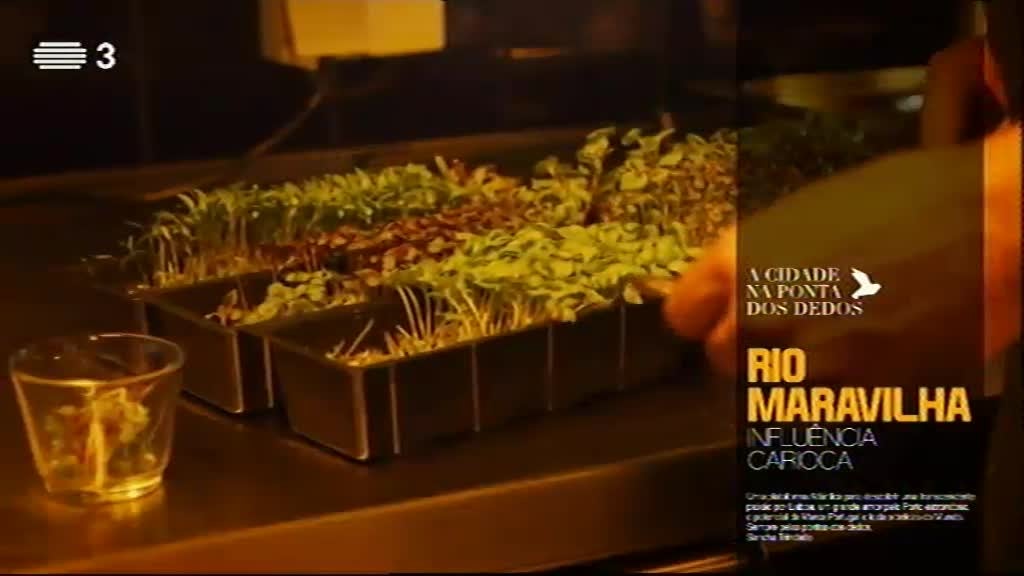 Imagem do Programa / Episiódio - A Cidade na Ponta dos Dedos