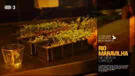 A Cidade na Ponta dos Dedos