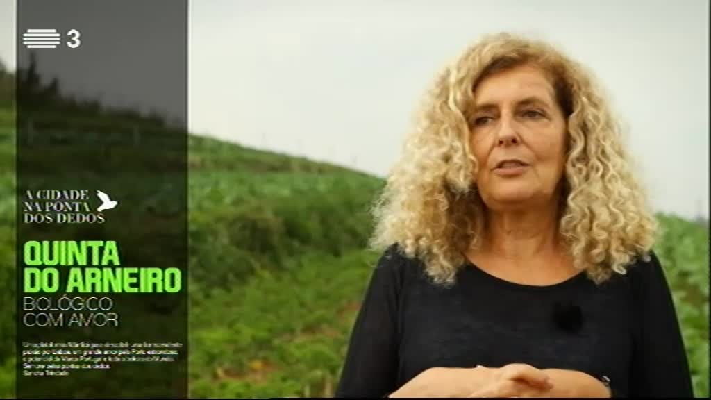 Imagem do Programa / Episiódio - A Cidade na Ponta dos Dedos