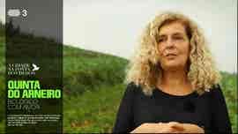 A Cidade na Ponta dos Dedos