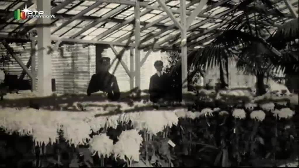 Imagem do Programa / Episiódio - À Porta da História - Aurélio Paz dos Reis