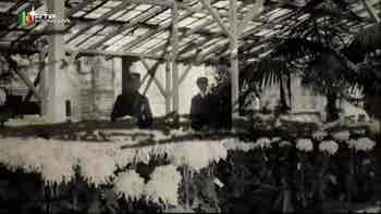 Aur�lio Paz dos Reis...