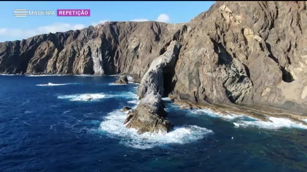 Imagem de Biomadeira