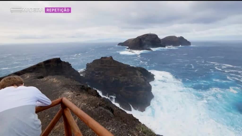 Imagem de Biomadeira